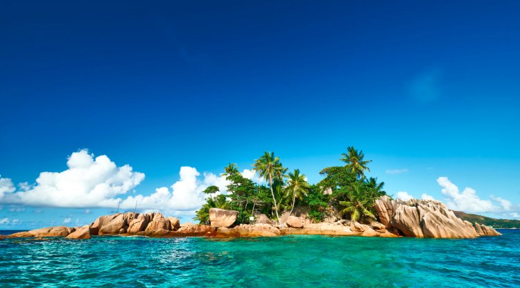 20 Critical Steps to Take When You're Stranded on a Deserted Island