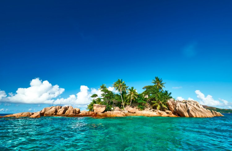 20 Critical Steps to Take When You're Stranded on a Deserted Island